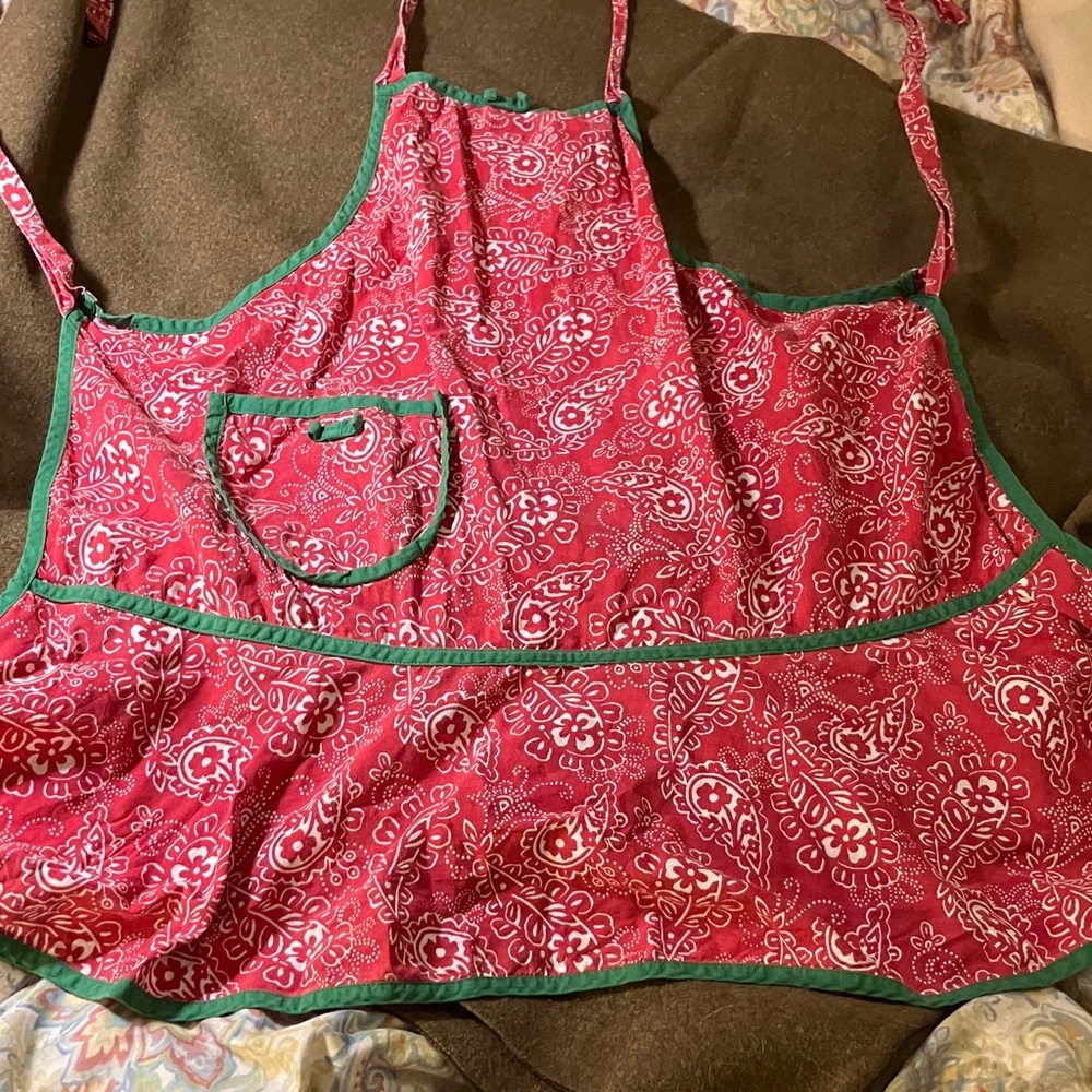 Bandana fabric vintage handmade apron with green trim